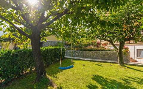 Opatija Mihelići 405: Fabriek, Blad, Afdeling, Natuurlijk Landschap, Schaduw, Boom, Land Lot, Gras, Woody Plant, Venster