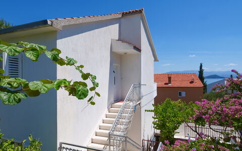Trogir Slatine 165: Fabriek, Lucht, Eigendom, Gebouw, Bloem, Trap, Huis, Verblijf, Boom, Woongebied