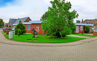 Venusmuschel