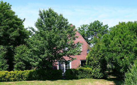 Natur Pur am Nordseedeich: Boom, Groen, Eigendom, Huis, Natuurlijk Landschap, Gras, Huis, Lucht, Woody Plant, Blad