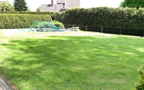 Bentweg: Gazon, Gras, Werf, Tuin, Eigendom, Land Lot, Grassenfamilie, Struik, Fabriek, Backyard