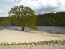 Arolsen-twistesee