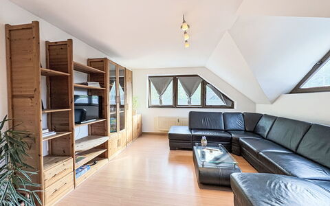Accommodatie:&nbsp;Ferienapartments Adenau 160.6