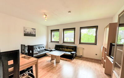 Accommodatie:&nbsp;Ferienapartments Adenau 160.3