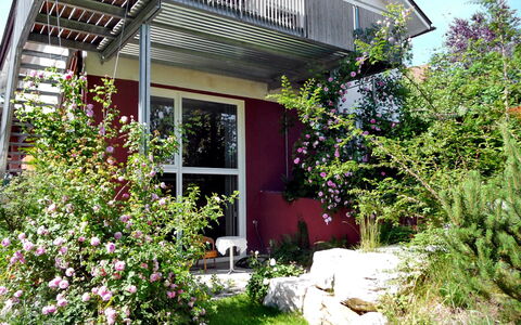 Rosengarten: Bloem, Fabriek, Gebouw, Venster, Plantkunde, Huis, Land Lot, Lucht, Gras, Schaduw
