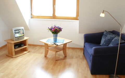 Ichenheim 120: Eigendom, Meubilair, Bloem, Bankstel, Venster, Comfort, Hout, Verlichting, Interieur Ontwerp, Flooring
