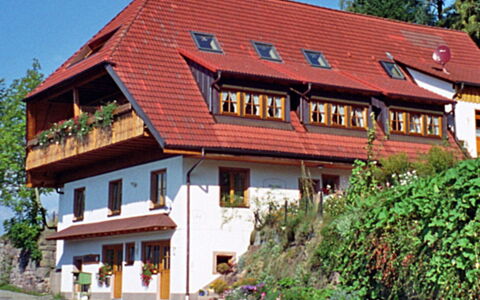 Schiltach 100: Fabriek, Gebouw, Venster, Lucht, Boom, Huis, Hout, Verblijf, Vrije Tijd