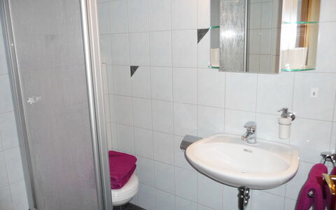 Haus Sacherer: Badkamer, Eigendom, Kamer, Purper, Muur, Loodgieterswerkinrichting, Tegel, Roze, Kraan, Architectuur