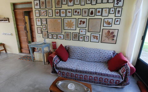 Busani: Kamer, Meubilair, Bankstel, Woonkamer, Eigendom, Interieur Ontwerp, Huis, Muur, Slaapbank, Gebouw