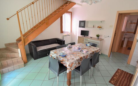 Accommodatie:&nbsp;Solmare 350.46
