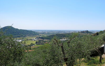 Le Bozzelle