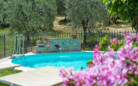 San Gimignano 150: Water, Fabriek, Bloem, Groen, Natuur, Plantkunde, Boom, Zwembad, Gras, Vegetation