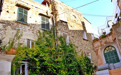 Ischia Ponte 10: Dag, Lucht, Eigendom, Fotograaf, Venster, Gebouw, Groen, Natuur, Vegetation, Buurt