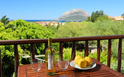 Accommodatie:&nbsp;Dalia 14 - Vista Village 200.10