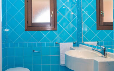 Accommodatie:&nbsp;Dalia 20 - Vista Village 200.12