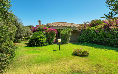 Accommodatie:&nbsp;Carlo 300.1