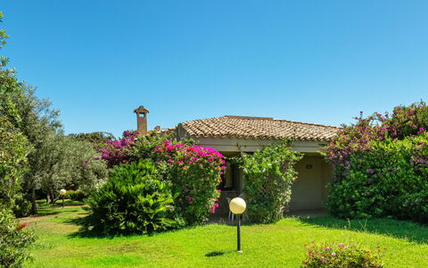 Accommodatie:&nbsp;Carlo 300.5