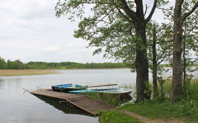 Letniskowa 29