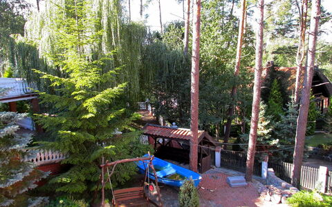 Mielno 2: Boom, Biome, Fabriek, Woody Plant, Plantkunde, Woud, Pine Family, Huis