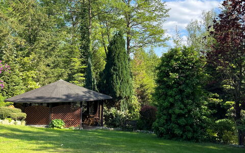 Willa Teresa: Boom, Blad, Groen, Natuur, Vegetation, Tuin, Struik, Plantengemeenschap, Land Lot
