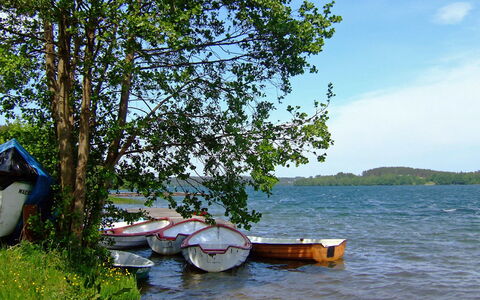 Trzy Brzozy: Vervoer Over Water, Boom, Meer, Rivier, Kust, Boot, Voertuig, Waterweg, Boating, Vakantie