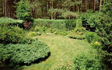 Borek Sulęcki: Natuurlijk Landschap, Vegetation, Boom, Groen, Natuurlijke Omgeving, Struik, Tuin, Biome, Natuurgebied, Fabriek