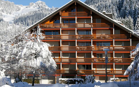 Villars 600: Sneeuw, Gebouw, Lucht, Eigendom, Berg, Wit, Huis, Boom, Architectuur, Hout