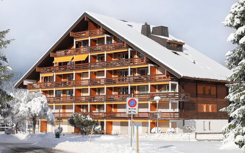 Villars 700: Sneeuw, Lucht, Gebouw, Fabriek, Boom, Huis, Helling, Hout, Venster, Verblijf