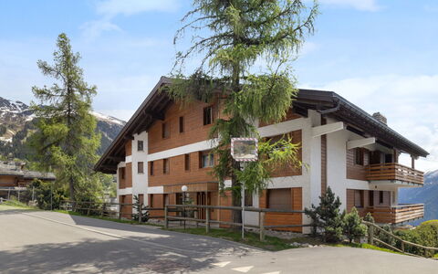 Eldorado 321: Menselijke Nederzetting, Bergdorp, Lariks