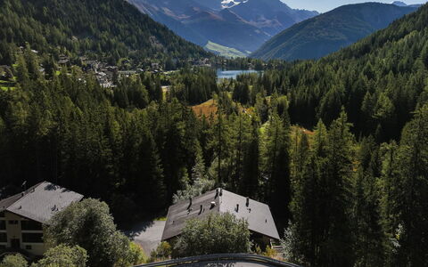 Arolla R01: Boom, Berg, Landschap, Woud, Hoogland, Heuvel Station, Bergketen, Huis, Lariks