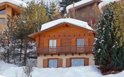 Mungg: Sneeuw, Gebouw, Venster, Boom, Huis, Fabriek, Afdeling, Lariks, Hout