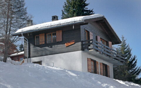 Hildegarde: Sneeuw, Winter, Eigendom, Huis, Huis, Boom, Architectuur, Heuvel Station, Onroerend Goed, Geologisch Fenomeen
