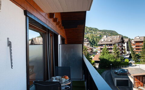 Nendaz 800: Lucht, Gebouw, Eigendom, Venster, Fabriek, Huis, Boom, Tafel, Schaduw, Bloempot