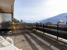 Accommodatie:&nbsp;Bouleaux A0 800.10