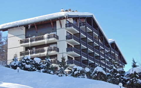 Nendaz 150: Lucht, Gebouw, Venster, Sneeuw, Boom, Stedelijk Ontwerp, Huis, Condominium, Helling, Freezing