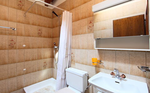 Nendaz 150: Badkamer, Eigendom, Kamer, Interieur Ontwerp, Gebouw, Architectuur, Bad, Onroerend Goed, Huis, Verdieping