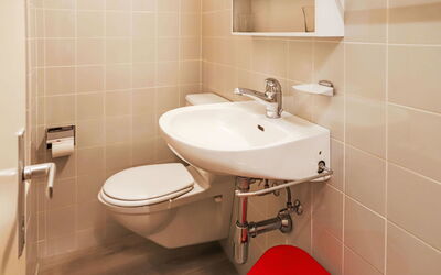 Accommodatie:&nbsp;Rosablanche D51 100.76