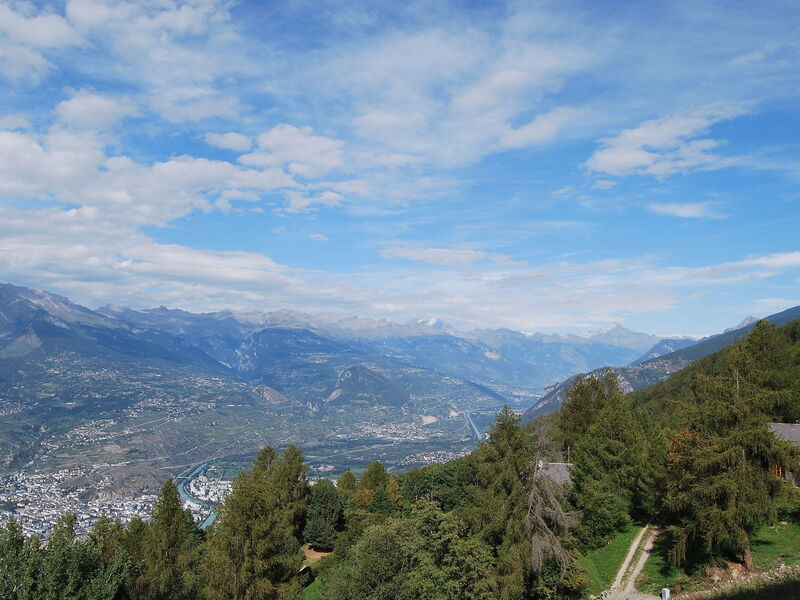 Bellevue l