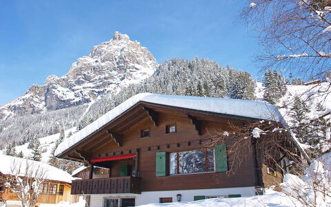Chalet Marietta: Lucht, Sneeuw, Berg, Gebouw, Venster, Huis, Helling, Boom, Natuurlijk Landschap, Landschap