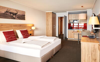 Accommodatie:&nbsp;Standard, Dorint Blümlisalp 100.1