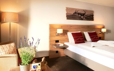 Accommodatie:&nbsp;Standard, Dorint Blümlisalp 100.1