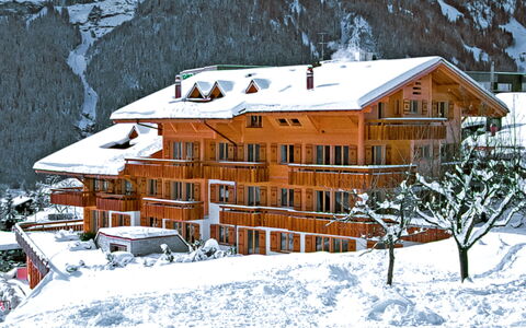 Grindelwald 100: Gebouw, Sneeuw, Venster, Helling, Huis, Freezing, Architectuur, Boom, Fabriek, Verblijf