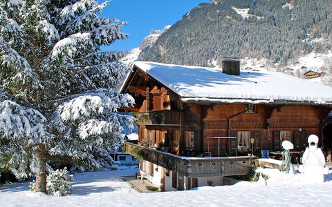 Grindelwald 121: Sneeuw, Lucht, Berg, Boom, Helling, Natuurlijk Landschap, Fabriek, Huis, Gebouw