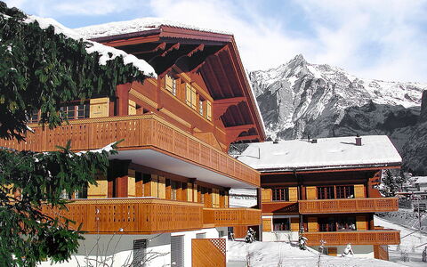 Grindelwald 106: Lucht, Gebouw, Wolk, Venster, Sneeuw, Berg, Natuur, Helling, Huis, Natuurlijk Landschap