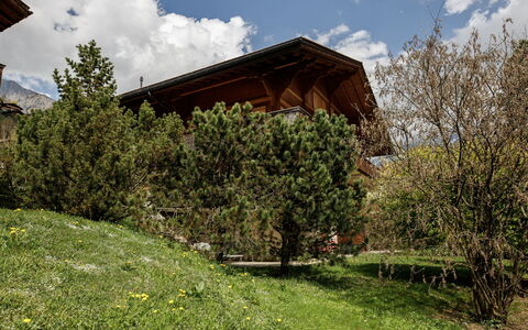 Grindelwald 106: Huis, Struik, Huis, Verblijf, Helling, Tuin, Boerderij, Landscaping, Lariks, Werf
