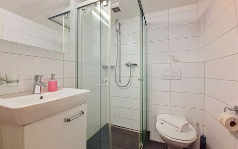 Grindelwald 150: Badkamer, Interieur Ontwerp, Loodgieterswerkinrichting, Verdieping, Flooring, Wastafel In De Badkamer, Loodgieter, Wastafel, Douche, Toilet