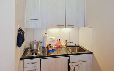 Grindelwald 150: Keuken, Toestel Van De Keuken, Countertop, Gootsteen, Major Appliance, Cabinetry, Wastafel, Loodgieterswerkinrichting, Kraan, Interieur Ontwerp