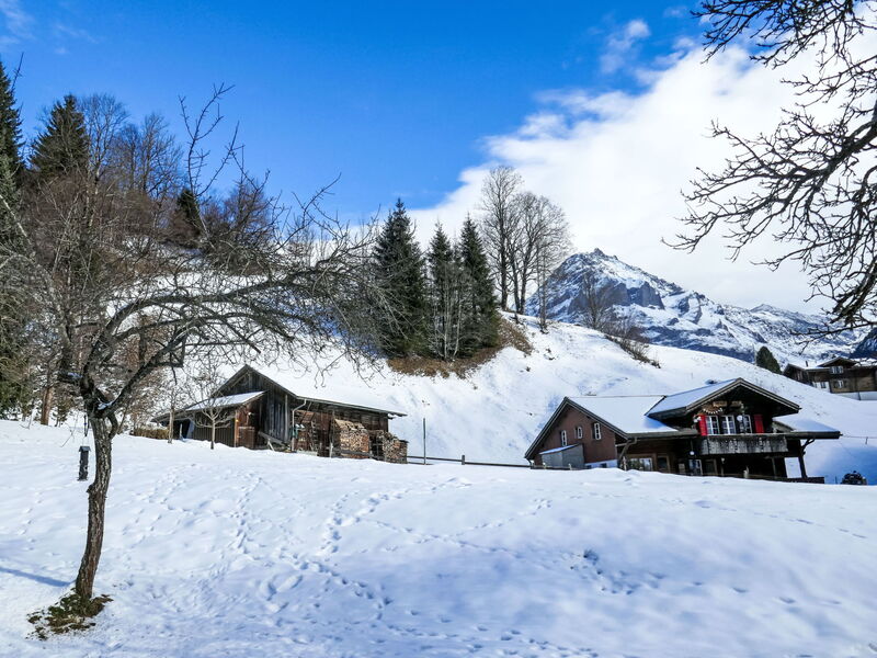 Grindelwald 150