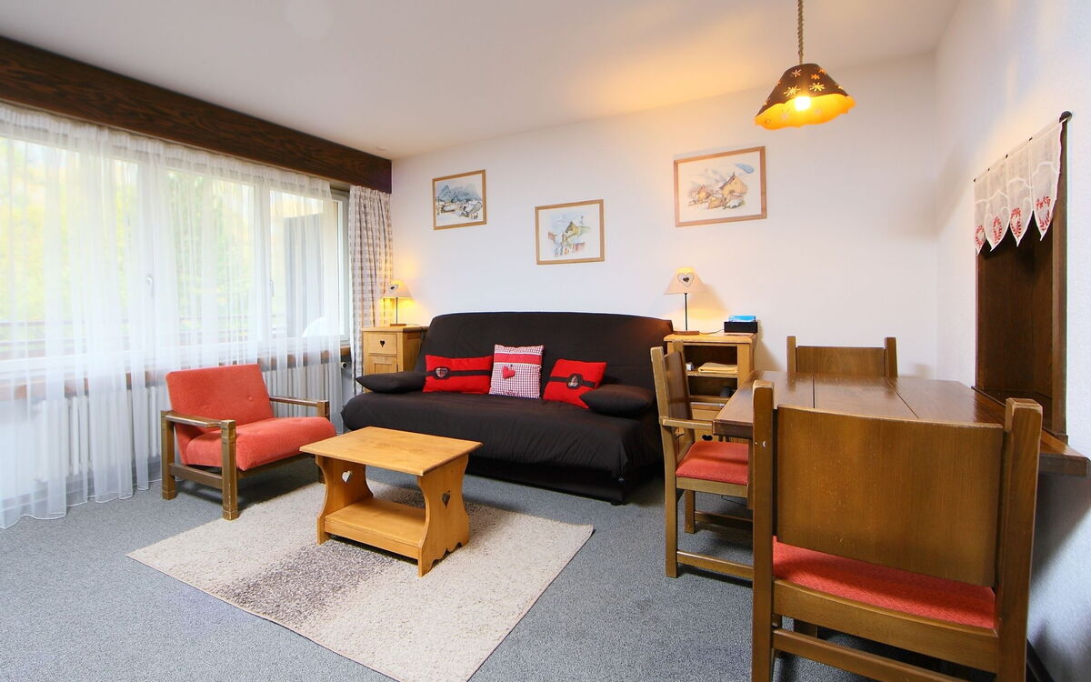 Accommodatie:&nbsp;Ringstrasse Apt 115 900.2