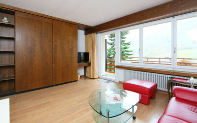 Accommodatie:&nbsp;Ringstrasse Apt 225 900.7